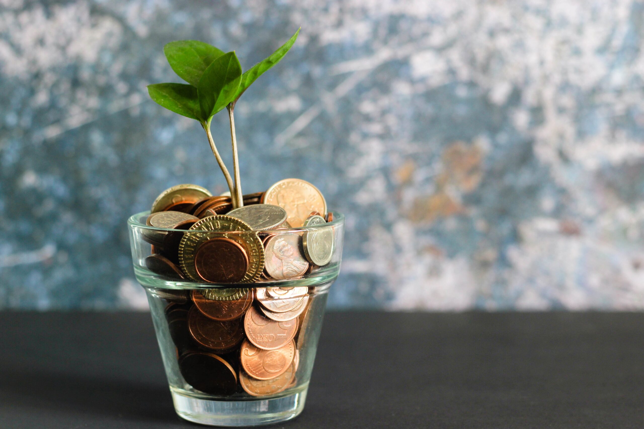 growing savings using maya-lazada and maya-grab hacks