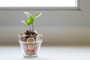 green plant in clear glass cup representing savings growth