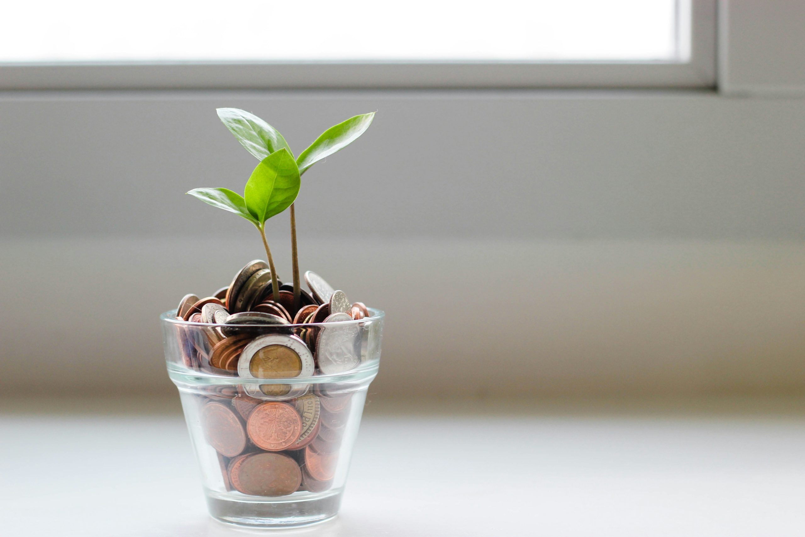 Best Savings Accounts in the Philippines (2025): Where to Grow Your Money Smartly